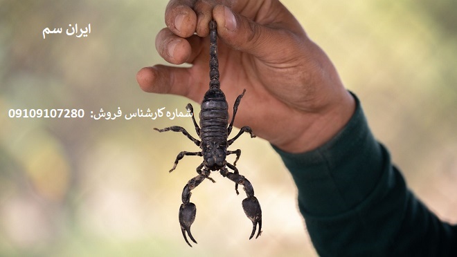 از بین بردن مار با سموم آلمانی