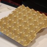 تولید وپخش شانه تخم مرغ و شانه سیب