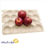 تولید وپخش شانه تخم مرغ و شانه سیب