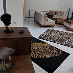 یه خانم جوان و آراسته جهت انجام امورات اداری