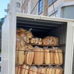 تولید و پخش نان باگت ساندویچ