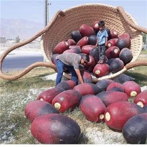 طراحی و ساخت سازه های شهری ویژه نوروز