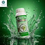 روغن ولک تابستانه آبگینه