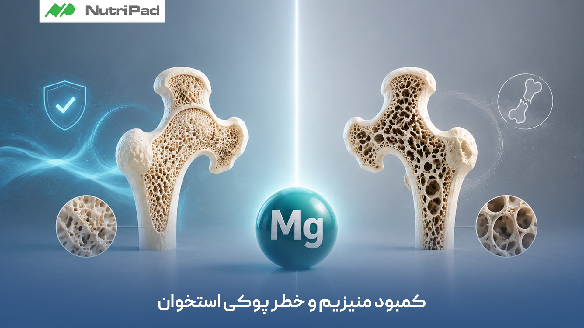 با پوکی استخوان چه اتفاقی در بدن رخ میدهد؟